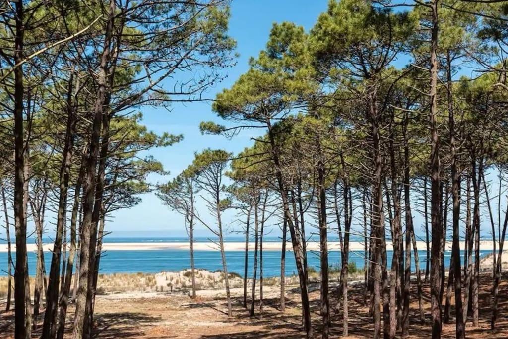 Atlandes - Entre Lac Et Mer Biscarrosse Buitenkant foto